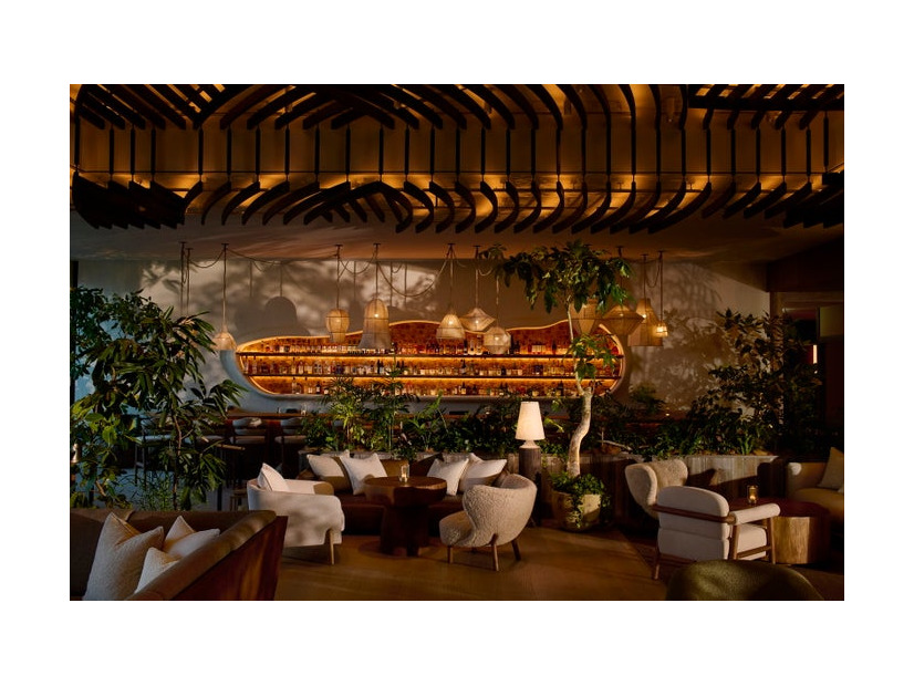 Photo courtesy of Mikkel Vang