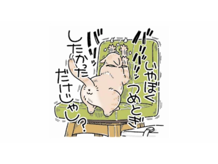 「爪とぎしただけだし？」やらかしをごまかす猫が可愛すぎる【猫がおしりを向けてきます #７】