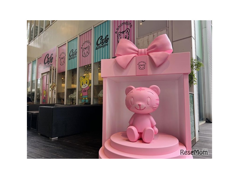 高校生になってもママになっても愛でたい…新ブランド「＆しまじろう」リリース、3/19からコラボカフェも