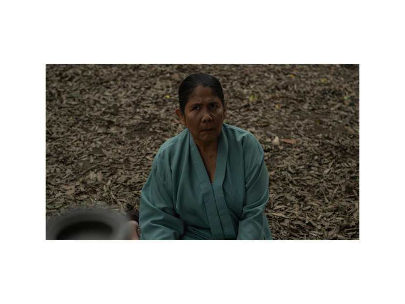 『サトウキビは知っている』© 2025 MD Pictures