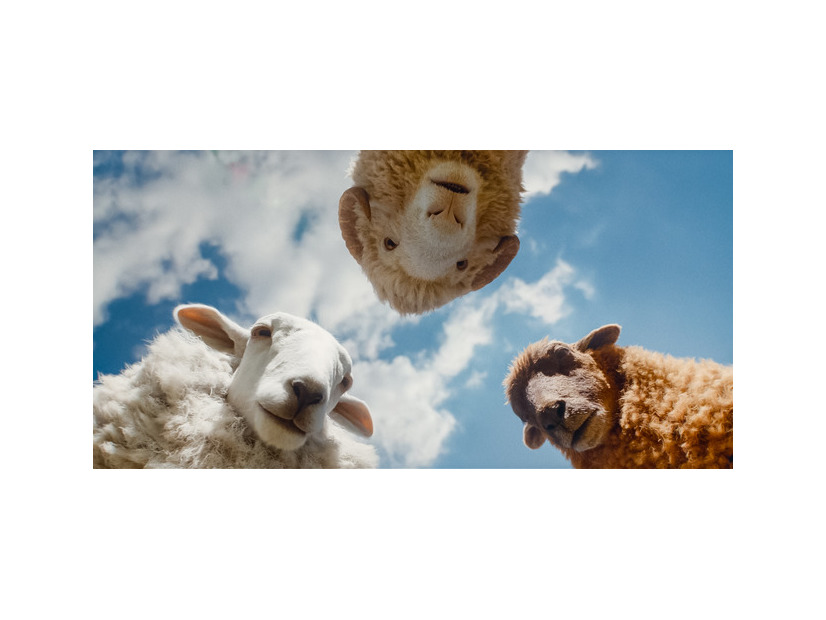 『ひつじ探偵団』