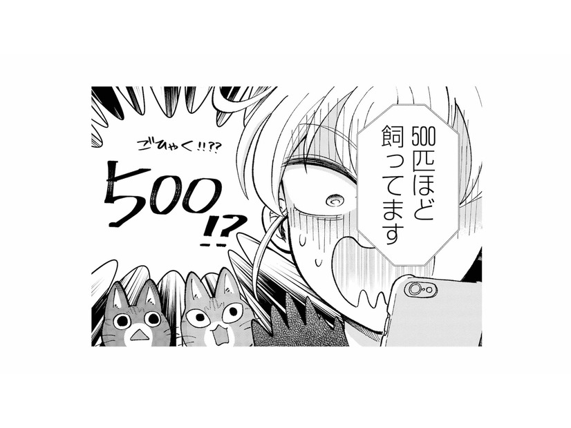 生きたネズミ500匹!? 5日間放置されたラスボス部屋にいざ突撃！【家政婦よんだら猫がきた #21】