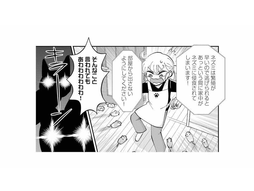 引き出しを開けた瞬間、ネズミが飛び出した！パニックの私を猫たちが…!?【家政婦よんだら猫がきた #22】