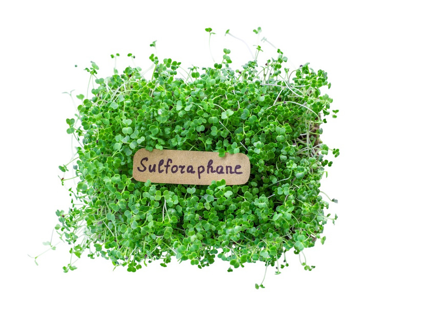 血糖値が10％ダウン、肝臓の数値も10％以上改善。エビデンスが証明するスーパー野菜「ブロッコリースプラウト」の実力とは【お茶の水女子大 食物栄養学科教授が解説】
