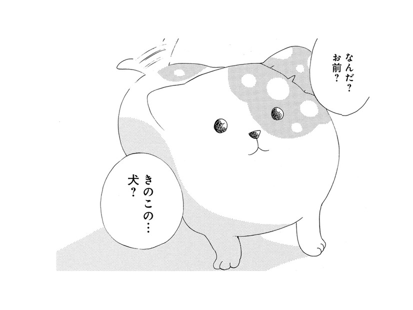 「妖怪？それとも妖精？」きのこの下から現れたのは、犬みたいな謎の生き物だった【きのこいぬ #２】