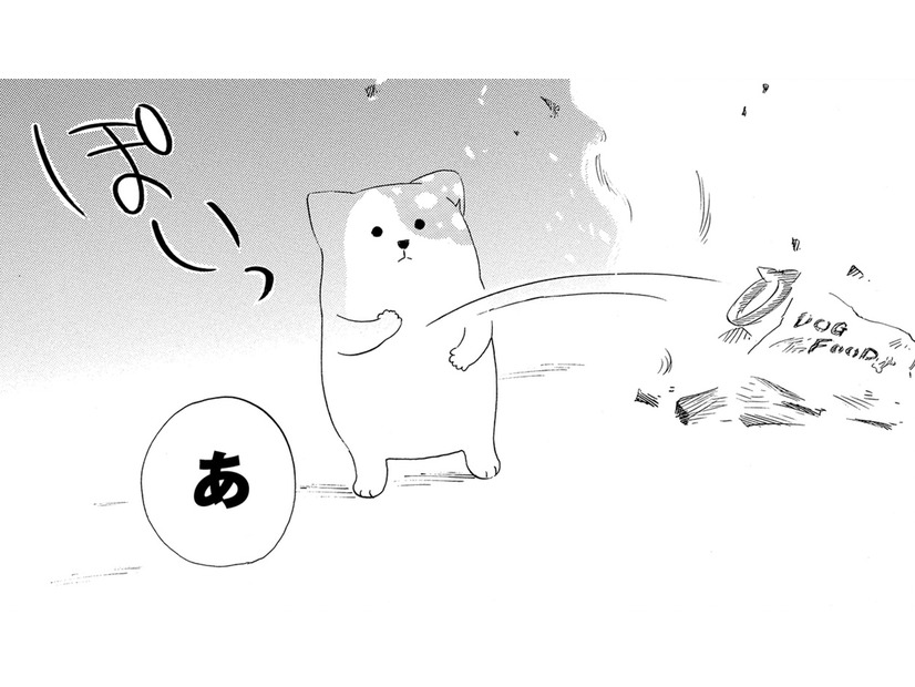 亡き愛犬の首輪が燃えてしまった…だけど、胸につかえていた後悔も、一緒に消えていくようで【きのこいぬ #４】