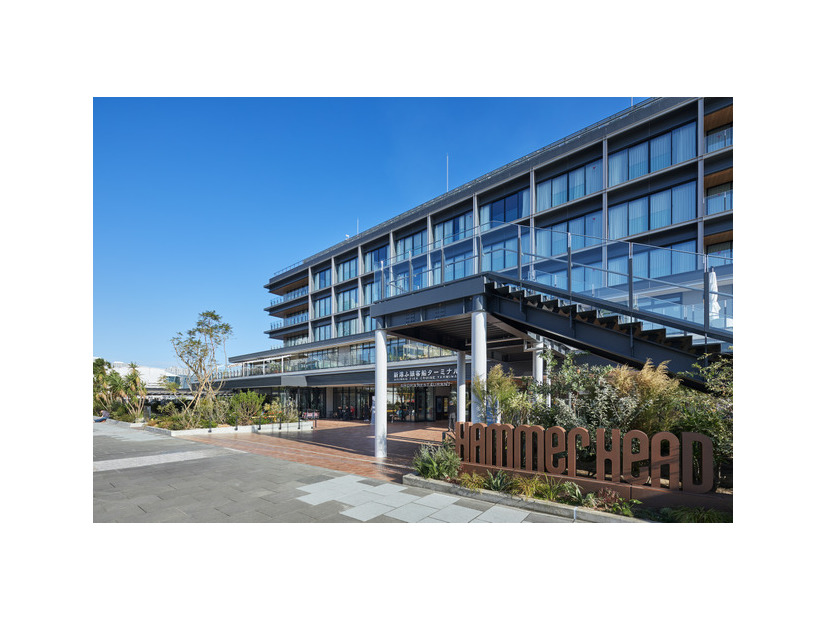 HAMMERHEAD 「SEASIDE CINEMA 2026」