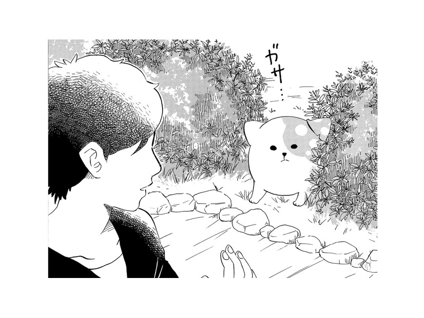 「絶対出てきちゃダメだぞ」言い聞かせたのに、庭に出てきてしまったきのこいぬ【きのこいぬ #14】