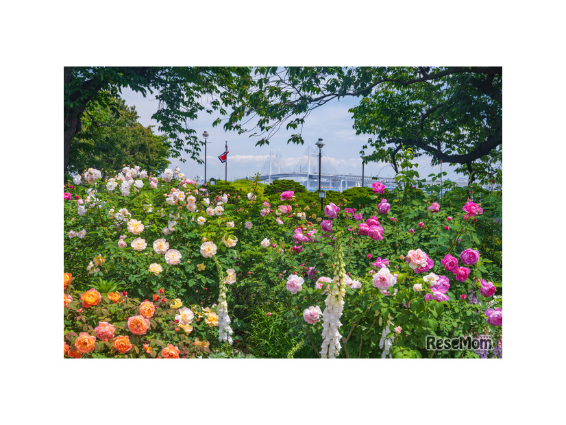 港の見える丘公園