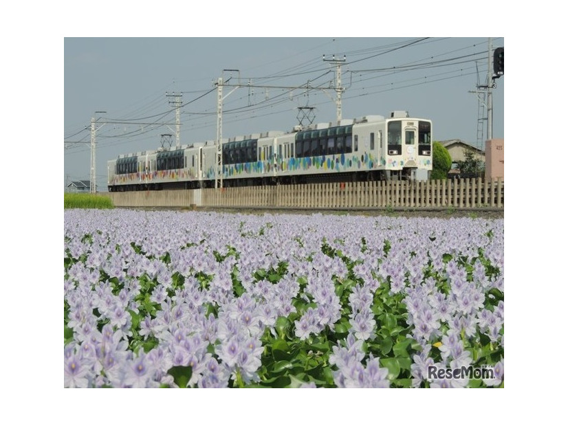 自作ダイヤで運行する臨時列車、スカイツリートレインに乗車