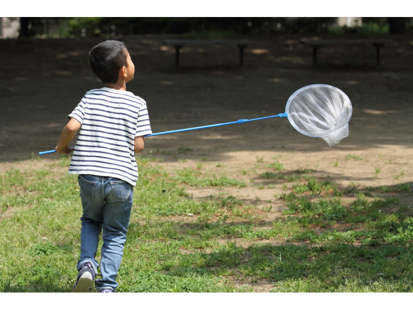 〔怒涛の中学受験〕偏差値より「セミの幼虫探し」ができる小学校生活を守った母の決断