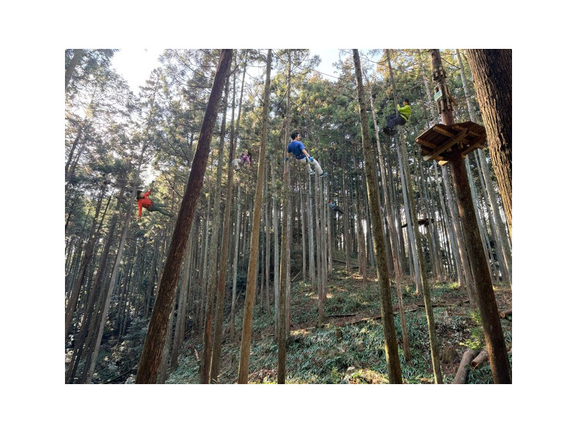 「街の呼吸と森の映画祭2026」