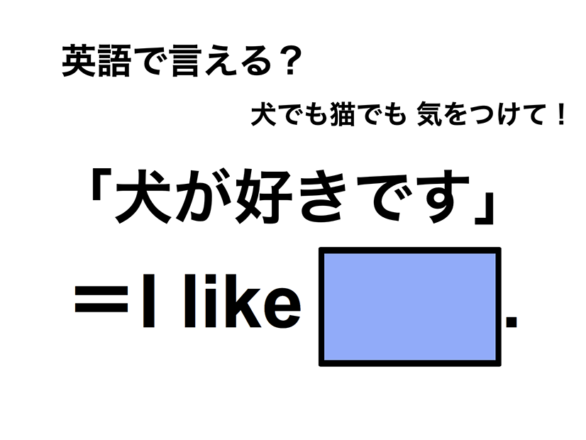 英語で「犬が好きです」は何て言う？