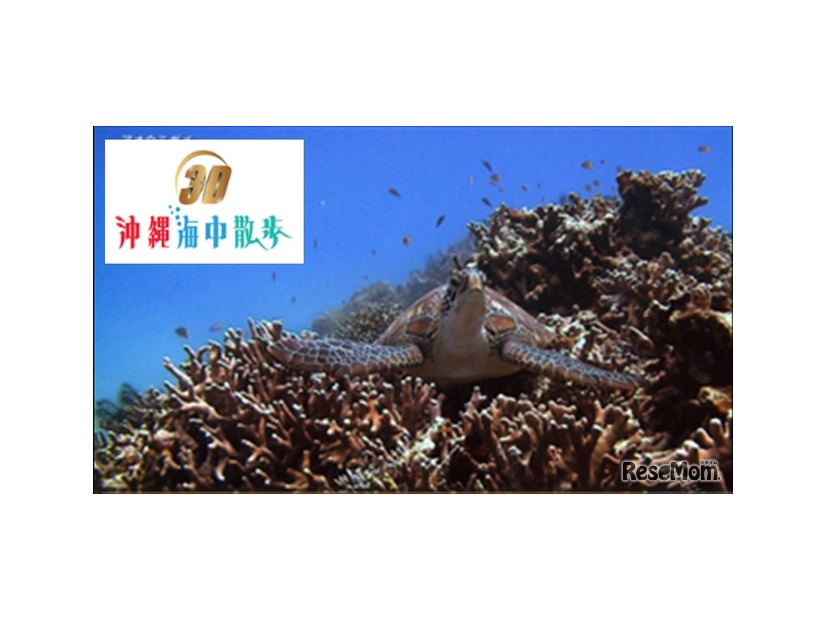 3D 沖縄海中散歩