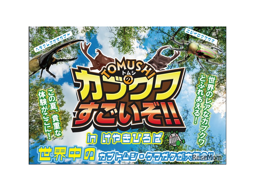 TOMUSHIのカブクワすごいぞ！！　in けやきひろば