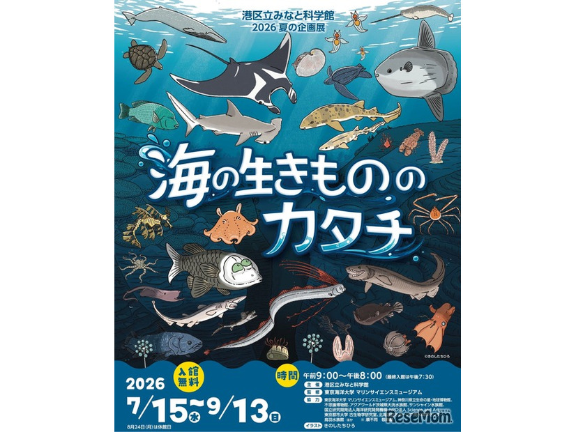 2026 夏の企画展 海の生きもののカタチ