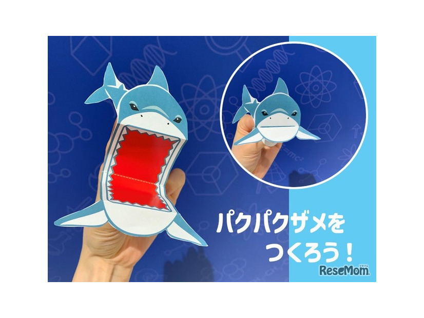 テーブルサイエンス パクパクザメをつくろう！
