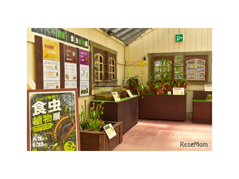 第5温室内、展示のようす