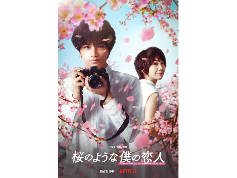 『桜のような僕の恋人』Netflix にて全世界独占配信中
