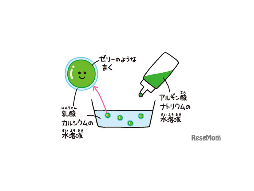 『理系脳をつくる 食べられる実験図鑑』