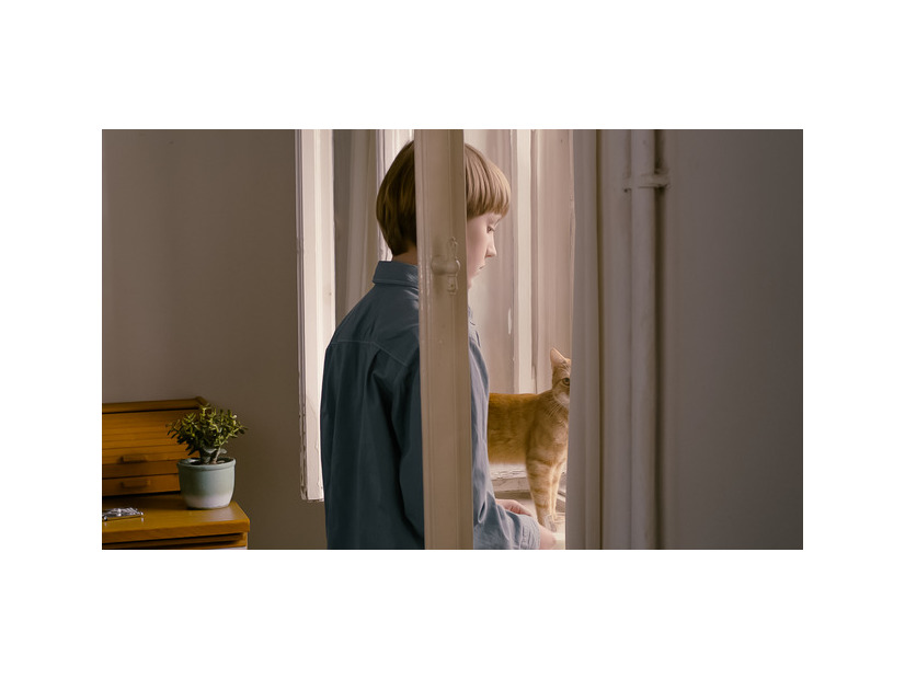 『ストレンジ・リトル・キャット』© Deutsche Film- und Fernsehakademie Berlin 2013
