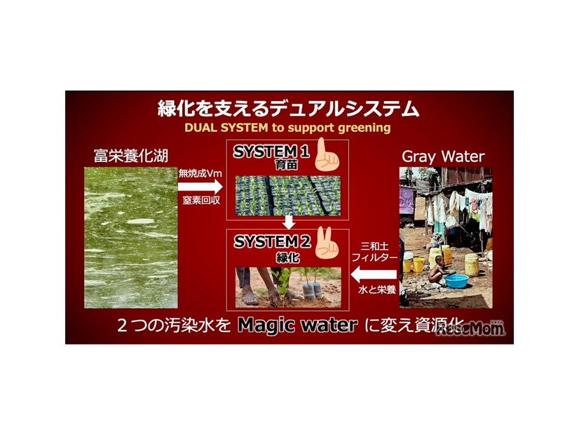 2025年度大賞作品「緑化を支えるデュアルシステムの開発」栽培環境班