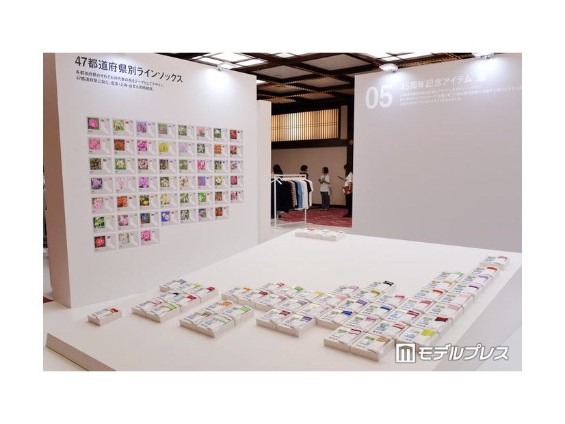 47都道府県別ラインソックス（C）モデルプレス