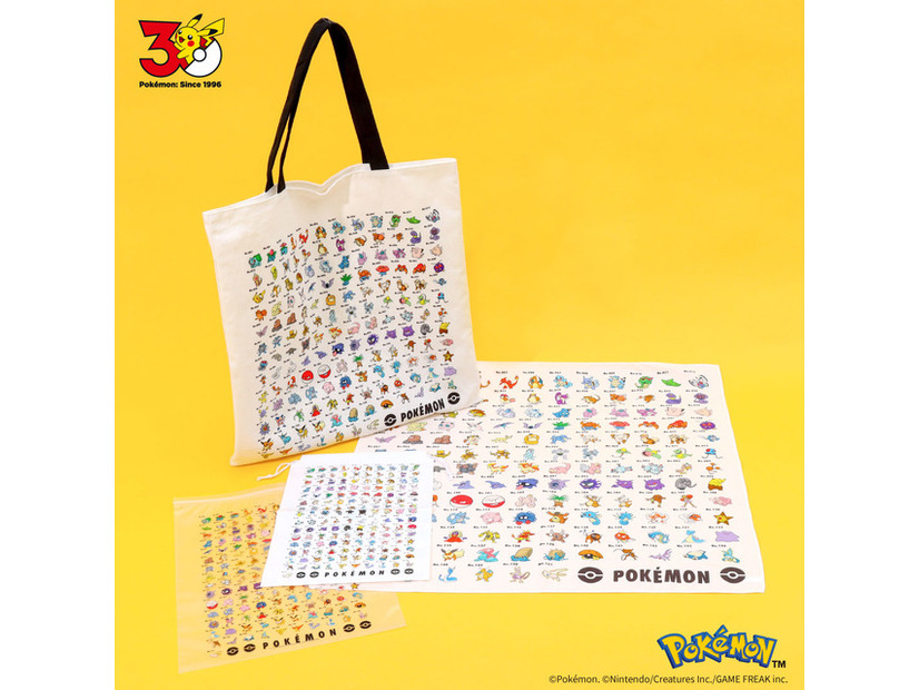 「ポケモンアイテム第1弾」〈design3〉／©Pokémon. ©Nintendo/Creatures Inc./GAME FREAK inc.