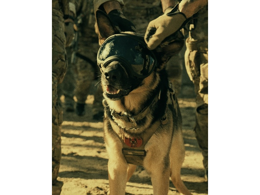 『ハート・オブ・ビースト』©2026 Paramount Pictures. All Rights Reserved.