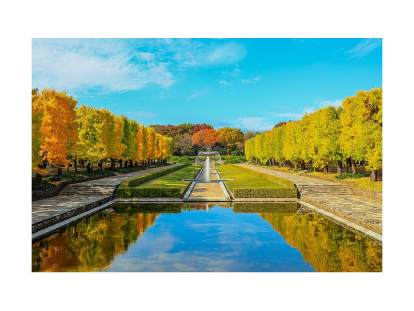 国営昭和記念公園／提供画像