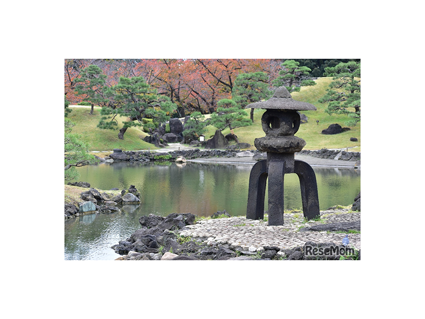 園内風景（2025年11月のようす）