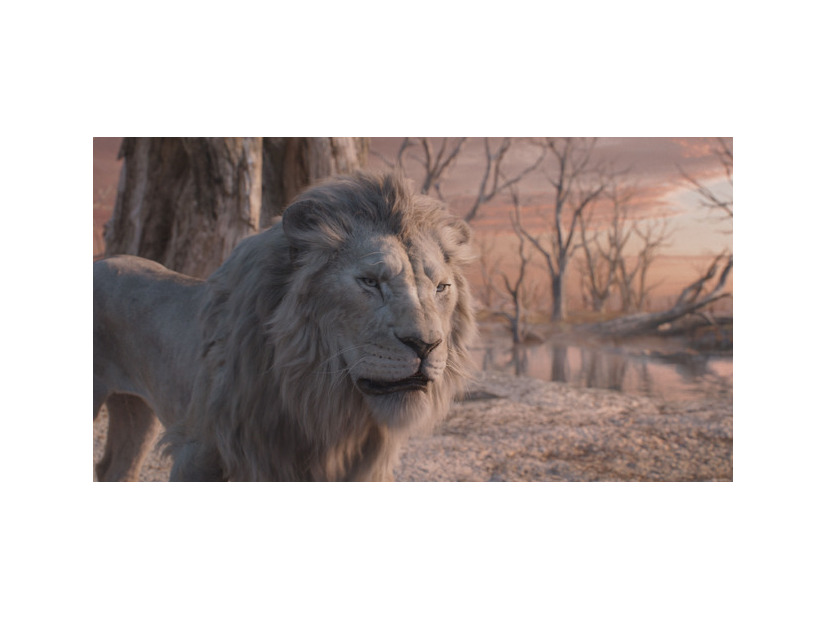 『ライオン・キング：ムファサ』© 2024 Disney Enterprises, Inc.