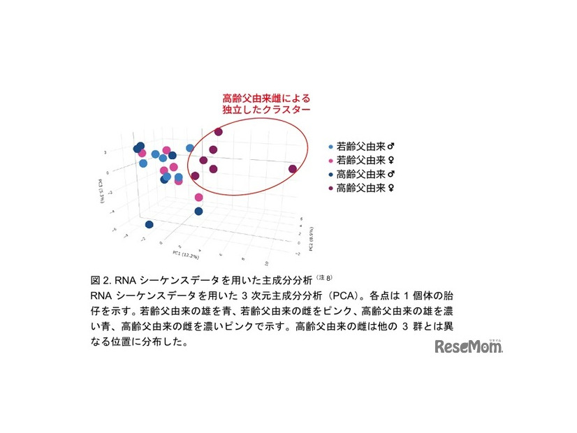 RNAシーケンスデータを用いた主成分分析
