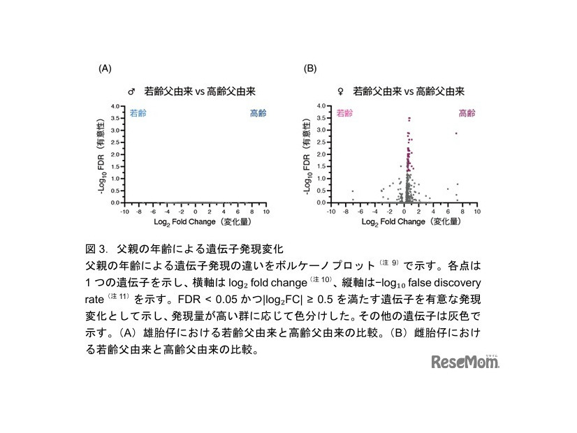 父親の年齢による遺伝子発現変化