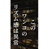 「この犬、音楽の才能が異常だって！」「脅威のリズム感」「目が離せない！」ドラムを叩くワンちゃんと飼い主のセッションは見ものです