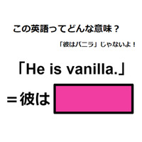 この英語ってどんな意味？「He is vanilla. 」