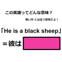 この英語ってどんな意味？「He is a black sheep」