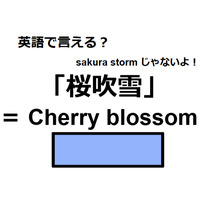 英語で「桜吹雪」はなんて言う？