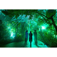 京都府立植物園の幻想的なアートイベント 「LIGHT CYCLES KYOTO」バージョンアップして復活！5月24日開演