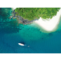 「世界でいちばん大きな生命は？」ゾウでもクジラでもない「意外なもの」を主張するその理由と聞いてみたら思いのほか深かった