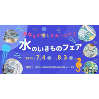 【夏休み2025】関西大×TSUTAYA「みずのいきものフェアvol.2」7/4より