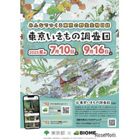 【夏休み2025】アプリで参加「東京いきもの調査団 夏編」9/16まで