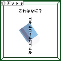 クイズです！「この図が表しているものは？」ヒントは後ろに隠れているもの【難易度LV２.・甘口】