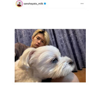 「メロすぎ」佐野勇斗、実家でまったりプラべSHOTにファン大歓喜「好きすぎて滅！！」