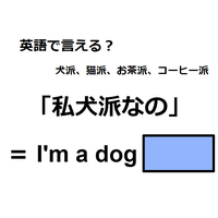 英語で「私、犬派なの」は何て言う？
