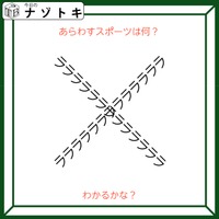クイズです！「この図のスポーツ、挑戦したことありますか？」図を読み解きましょう【難易度LV２.・甘口】