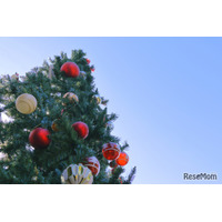 【中学受験】保護者仲間の存在に安心感「受験直前企画！中学受験なんでも相談会」