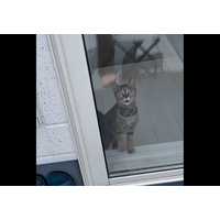 洗濯物でバタバタする飼い主　すると愛猫が勘違い！？⇒助けに来た姿に「動画撮ってよかった！」