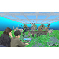 バーチャル空間で動物博物館を作るWS、国立科学博物館で3/14-15