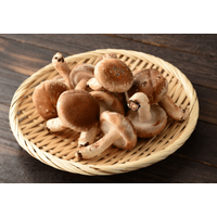 夏休みに「祖父のしいたけ栽培」を手伝った8歳の娘　思い出を綴った作文が”驚きのニュース”に「胸いっぱい」